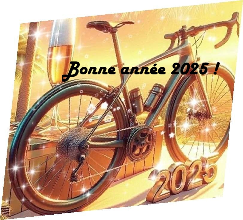 voeux vélo